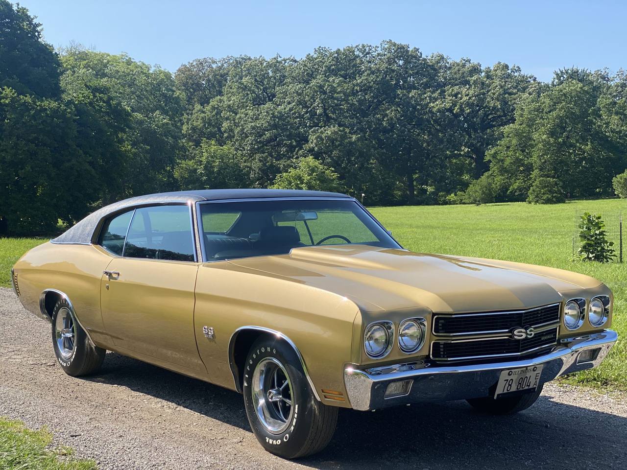 1967 Chevrolet Malibu for sale in Texas